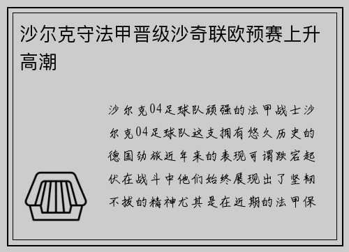 沙尔克守法甲晋级沙奇联欧预赛上升高潮